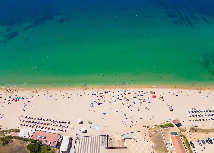 Oxalis By Destination Algarve